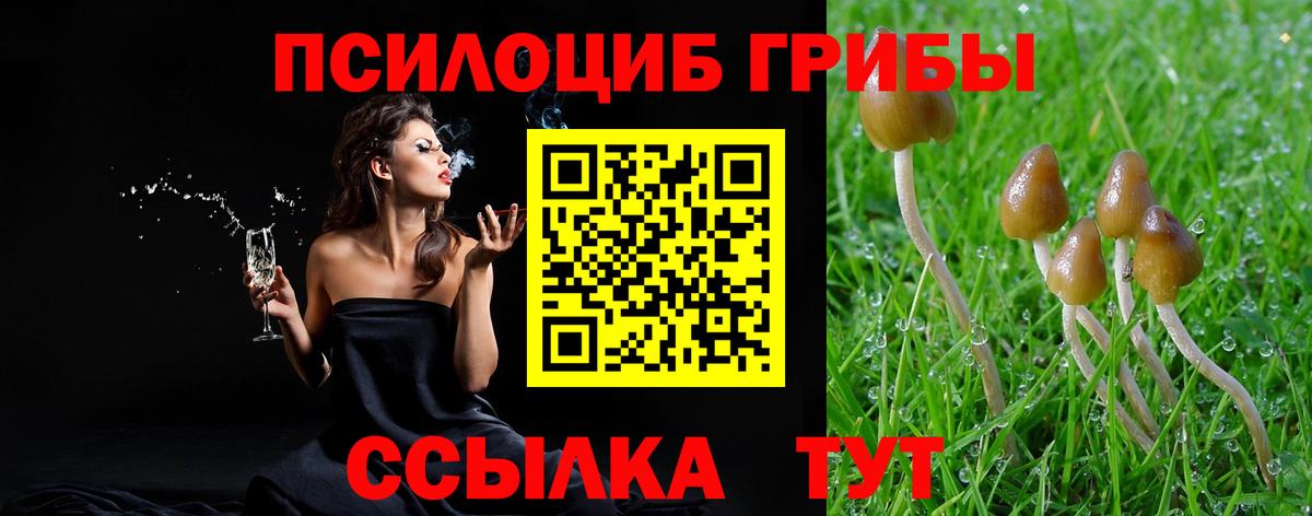 Псилоцибиновые грибы ЛСД  Галлюциногенные грибы ЛСД  Нурлат  Вход с VPN 